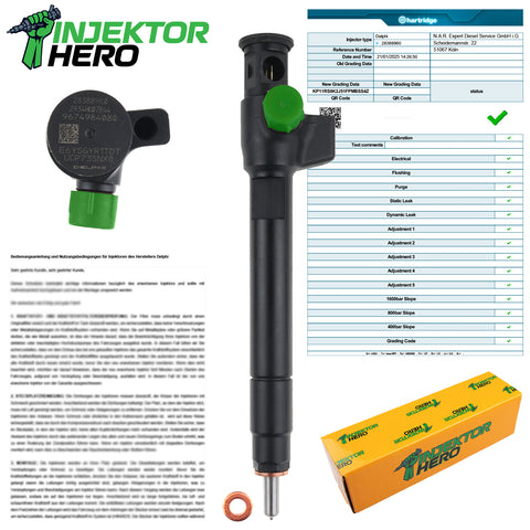 9674984080 Einspritzdüse Citroen Ford Peugeot 2.0 HDi Delphi Injektör 28388960