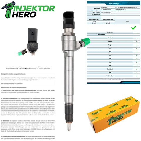 BK2Q9K546AG EINSPRITZDÜSE SIEMENS INJEKTOR CITROEN PEUGEOT FORD RANGER 2.2 TDCi A2C59517051