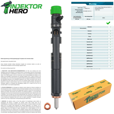 EJBR02101Z Injector Renault Clio Dacia Sandero 1.5 dCi 166003978R