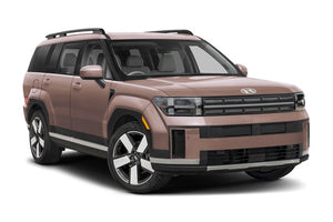 Hyundai Santa Fe Diesel Injektor