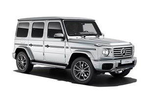 Mercedes-Benz G-Klasse Diesel Injektor