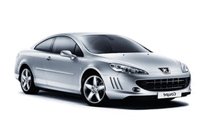 Peugeot 407 Diesel Injektor