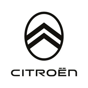 Citroen Diesel Injektor