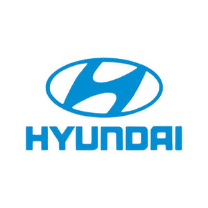 Hyundai Diesel Injektor