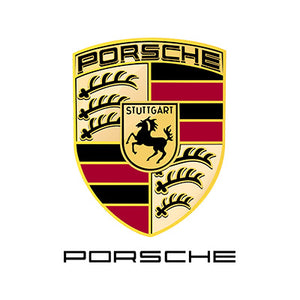 Porsche Diesel Injektor