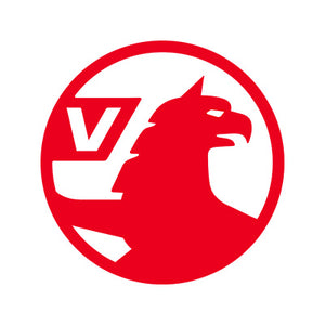 Vauxhall Diesel Injektor